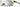 Smith Optics Pivlock Arena Sunglasses - Acid Fade