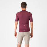Castelli Espresso Bibshort