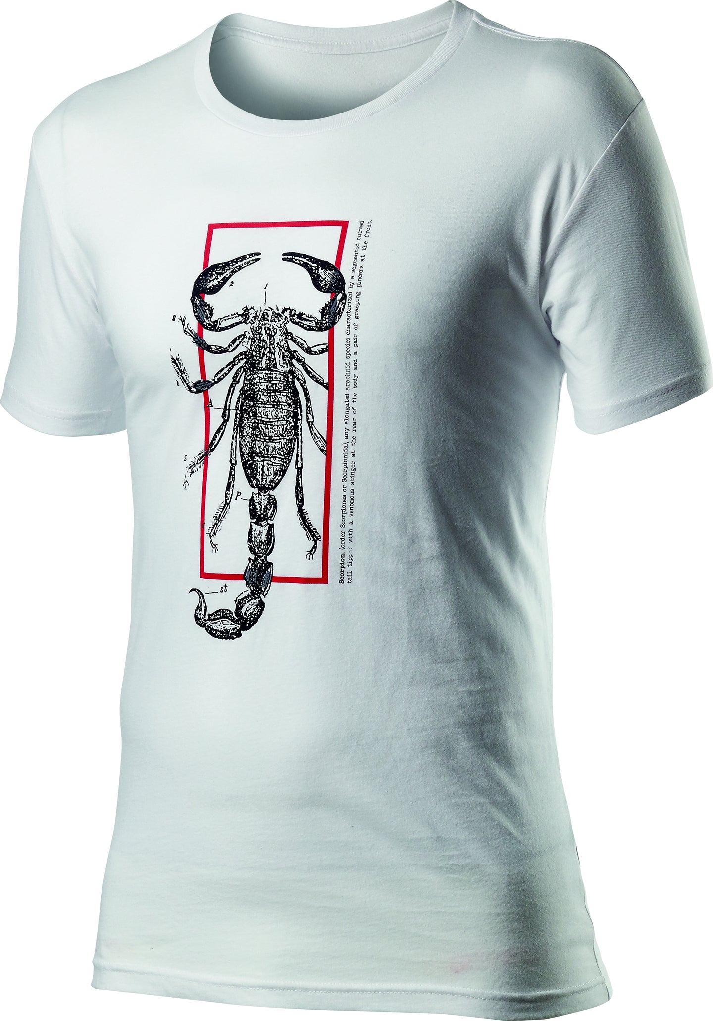 Castelli Logo Tee – white