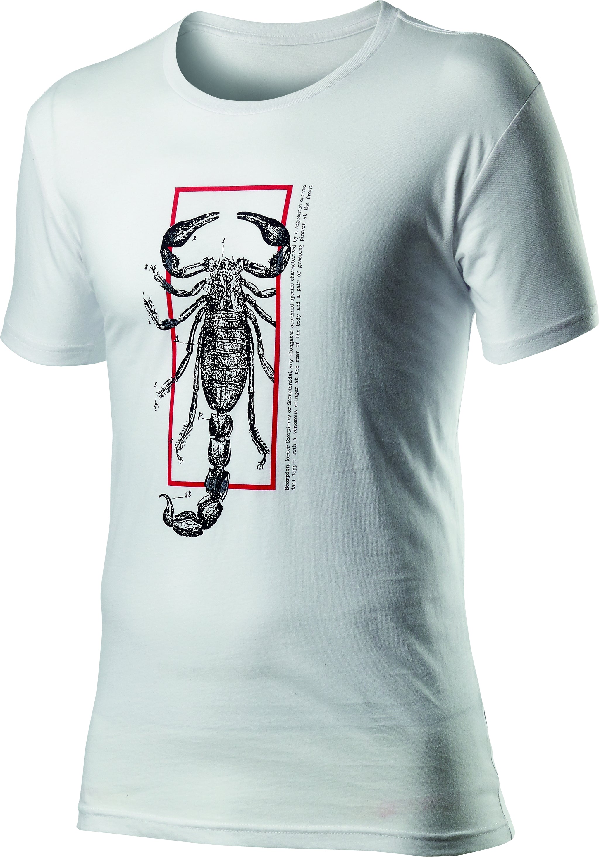 Castelli Logo Tee – white