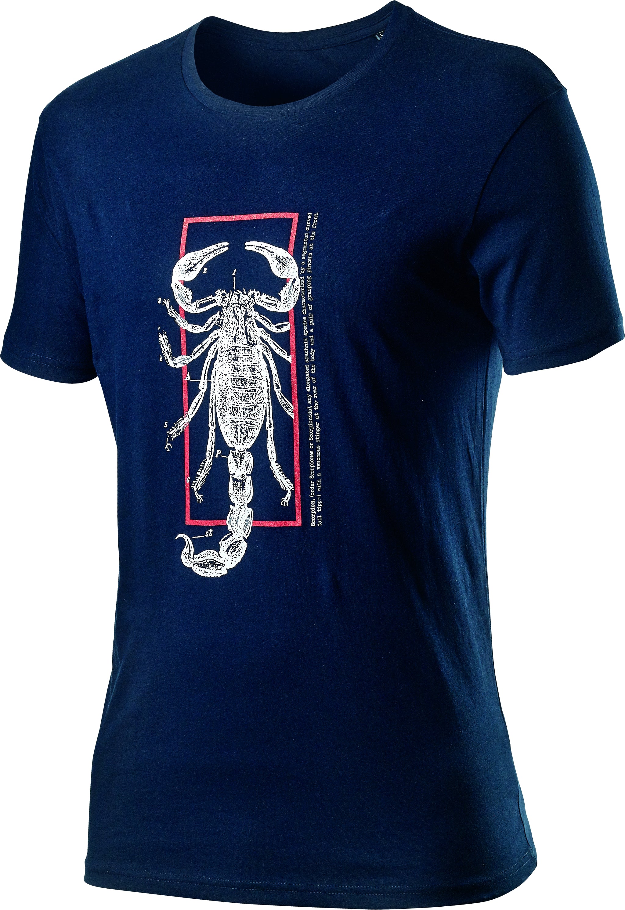 Castelli Logo Tee – dark infinity blue
