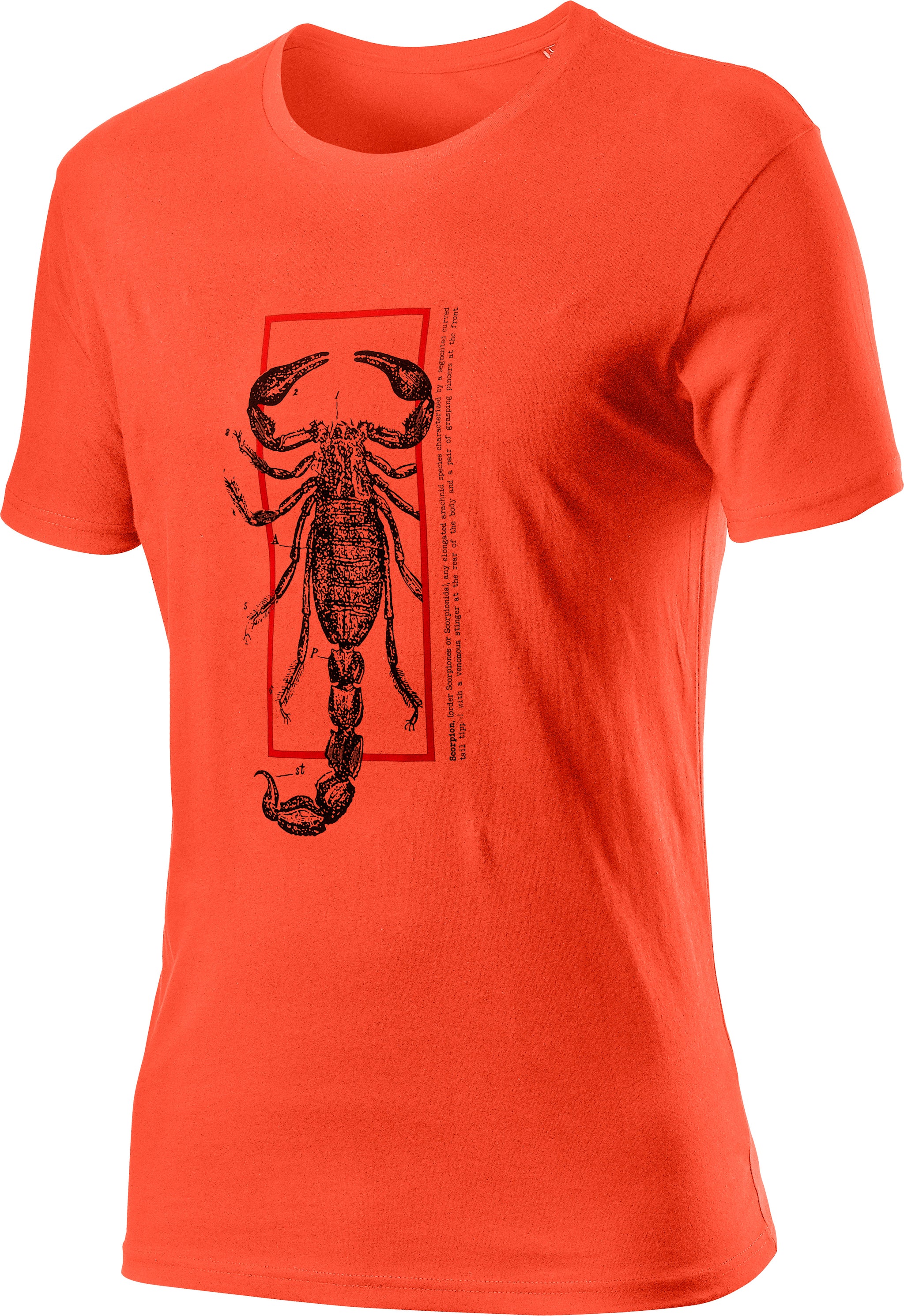 Castelli Logo Tee – burnt orange